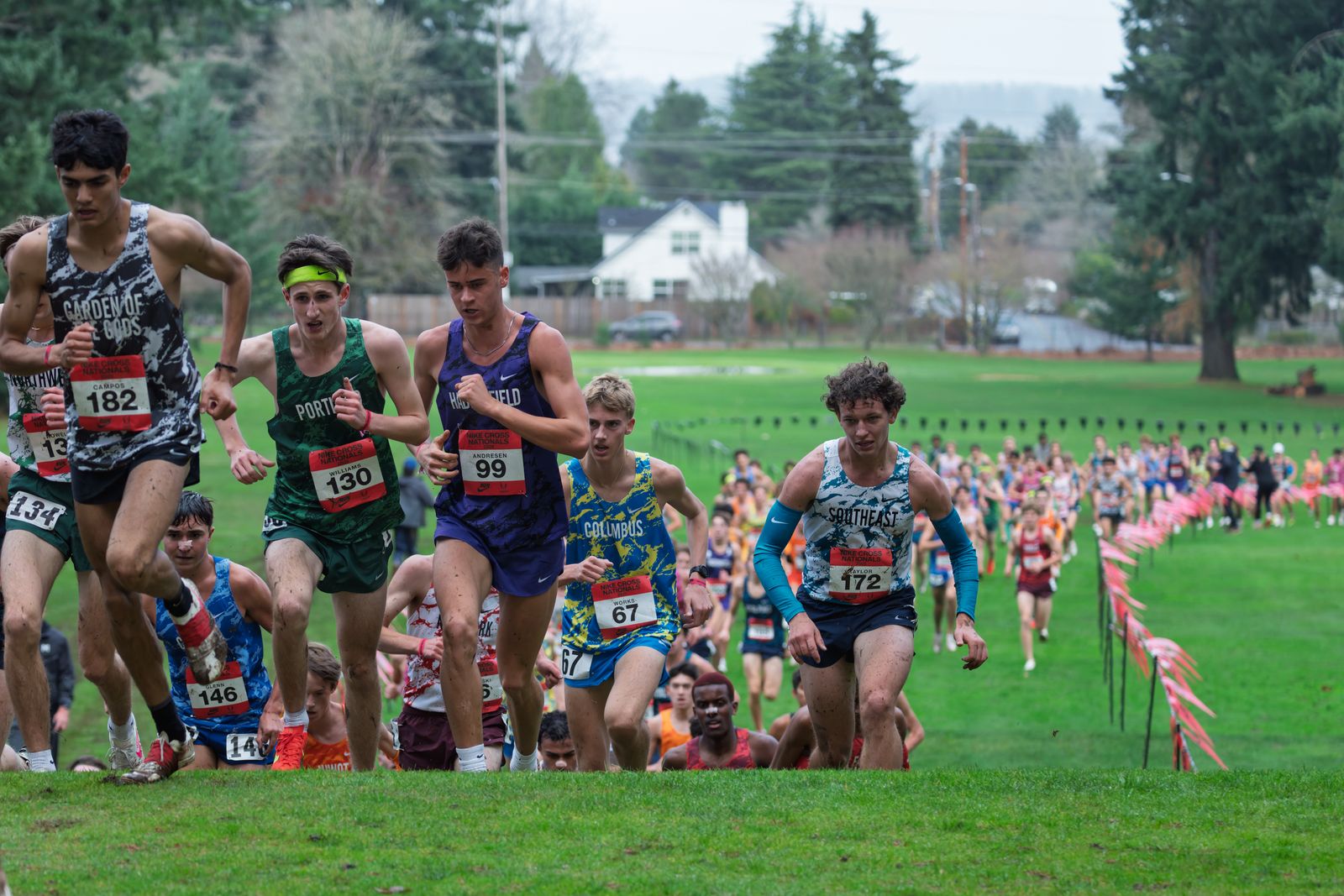Pack cresting hill — Sideline Studio PDX
