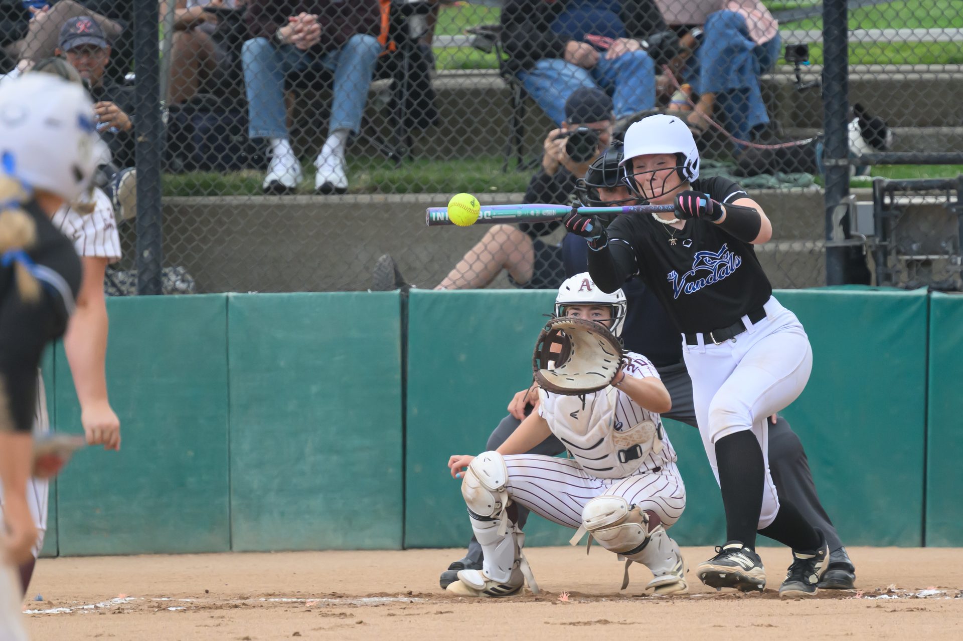 A batter squares up to bunt as the ball closes in over the plate, with the catcher and umpire braced behind her. 2026 TC World Series Softball, Portland Oregon, 2026.